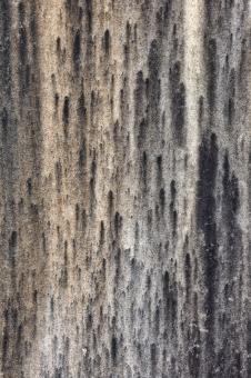 Free Stock Photo of Ether Grunge