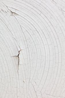 Free Stock Photo of Radial Wall Cracks