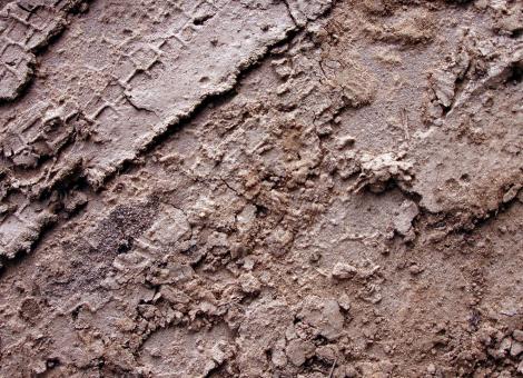 Mud surface - Free Stock Photo