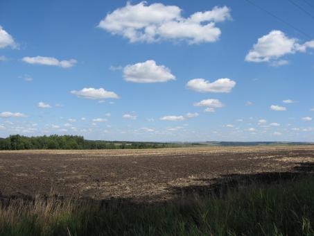 Field and sky - Free Stock Photo