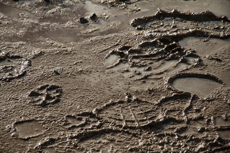 Free stock image of Mud created by Pixel Cabinet