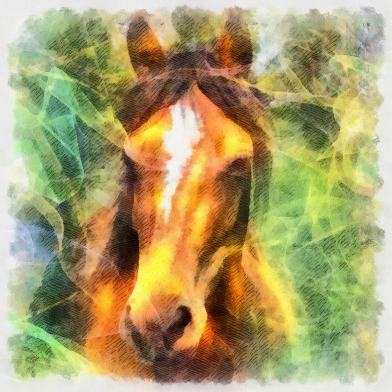 Free stock image of Horse Illustration created by Prawny