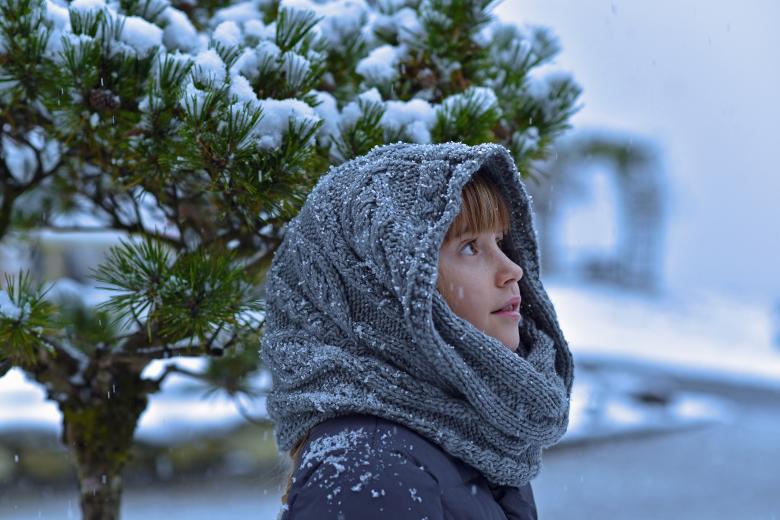 Free stock image of Winter created by Pixabay