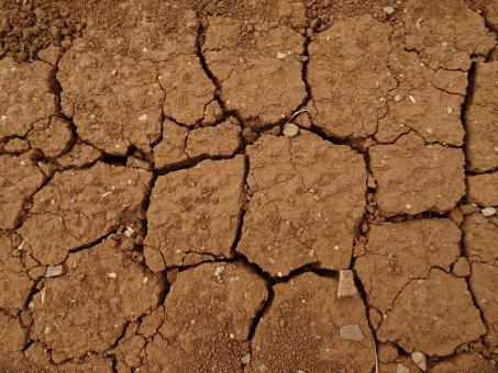 Free Stock Photo of Dry soil texture