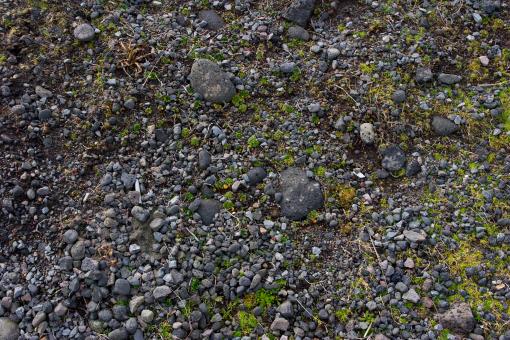 Free Stock Photo of Small Rocks and Dirt
