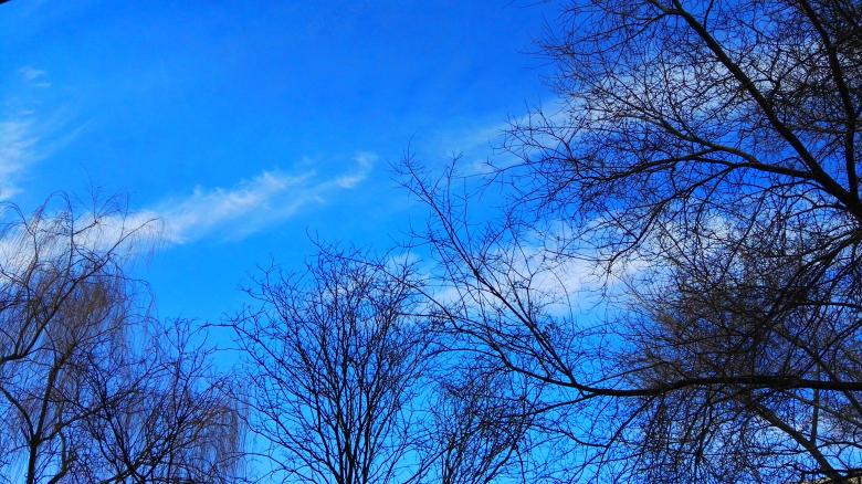 Free stock image of A clear sky in winter created by HongFei Li