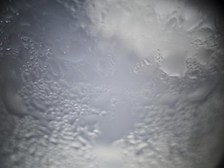 Abstract condensation - Free Stock Photo