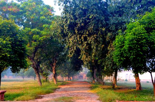 Free Stock Photo of Safdarjang Tomb