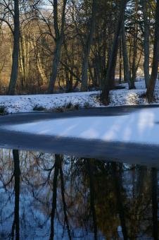 Free Stock Photo of Frost