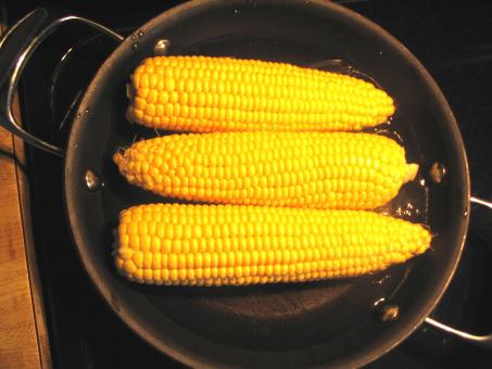 Free Stock Photo of Mmm.....corn!