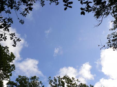 Free Stock Photo of Sky frame
