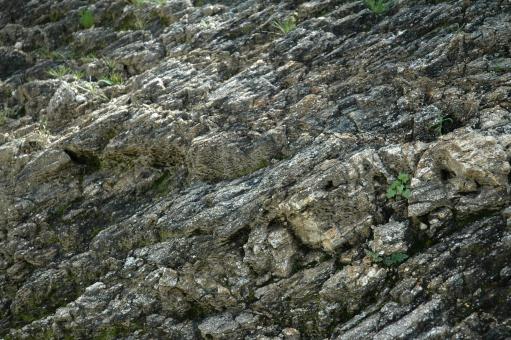 Free Stock Photo of Rocks