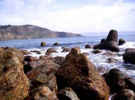 Free Stock Photo of Mole Swell