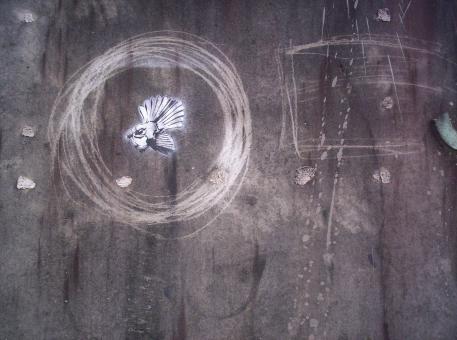 Free Stock Photo of Fantail Incised