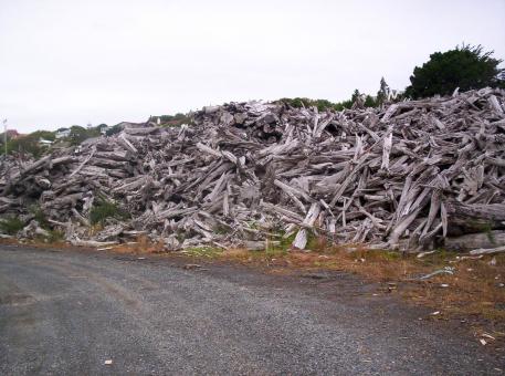 Free Stock Photo of Heartwood: Kinder's Lament