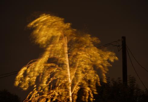 Free Stock Photo of Night Dance