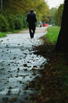 Free Stock Photo of Autumn in estonia