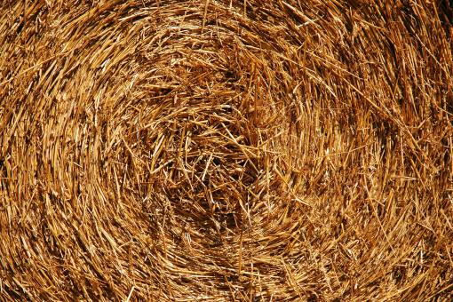Free Stock Photo of Hayroll