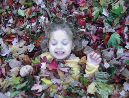 Free Stock Photo of Fall fun