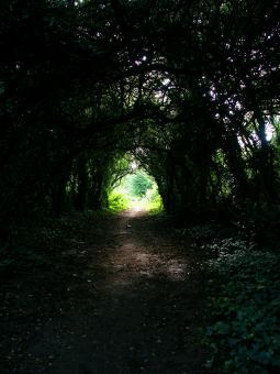Free Stock Photo of There is Light at the end of the tunnel!