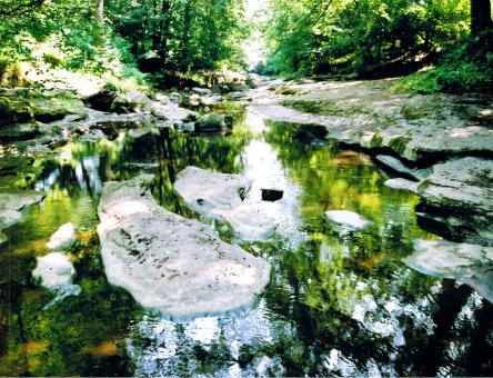Free Stock Photo of How Stean Gorge