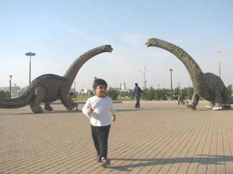 Free Stock Photo of Parkid