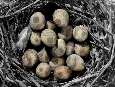 Free Stock Photo of Money Nest
