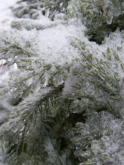 Free Stock Photo of Snow
