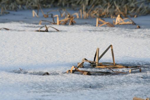 Free Stock Photo of Frozen pond