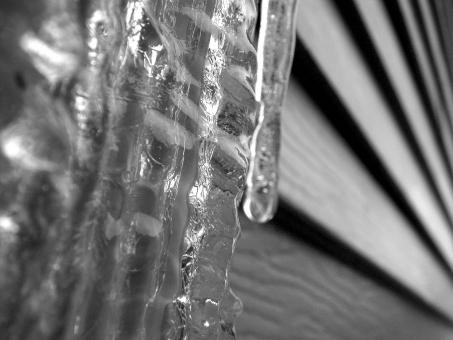 Free Stock Photo of Icicles