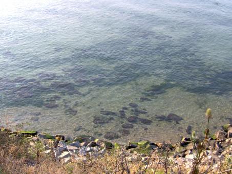 Free Stock Photo of Sea