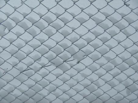 Free Stock Photo of Snow on wire fence