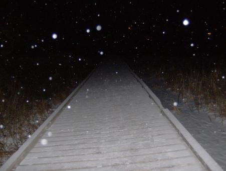 Free Stock Photo of Long Walk, Short Pier