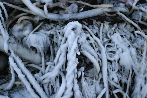 Free Stock Photo of Icy rope and chains