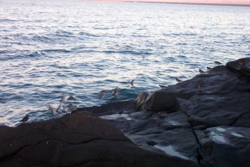 Free Stock Photo of Coast