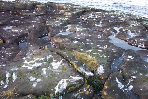 Free Stock Photo of Cliffs by the sea