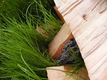 Free Stock Photo of Wood in grass
