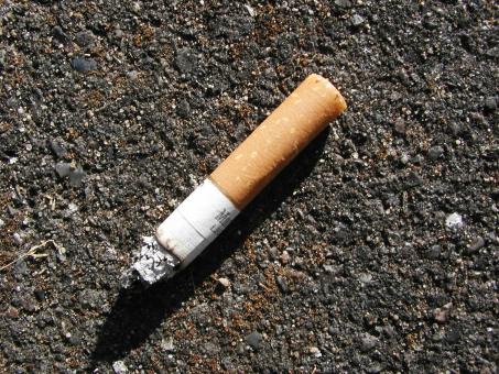 Free Stock Photo of Cigarette Bud on Street