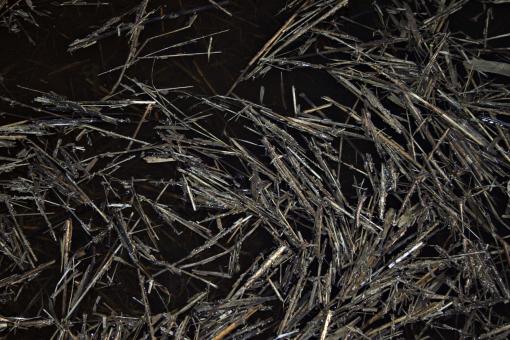Free Stock Photo of Wet grass and straws