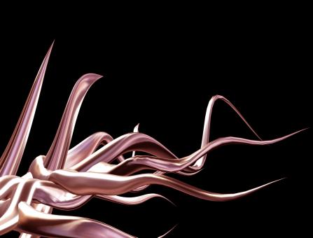 Free Stock Photo of Tentacles