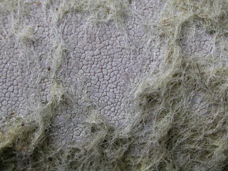 Free Stock Photo of Rocky texture