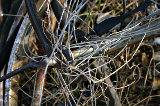 Free Stock Photo of Rusted bicycle