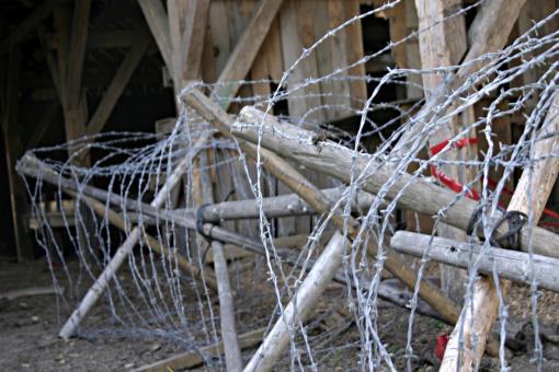 Free Stock Photo of Barbed wire