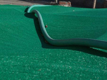 Free Stock Photo of Water hose