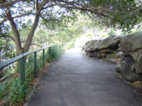 Free Stock Photo of Asfalt walking path
