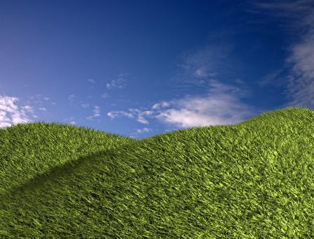Free Stock Photo of Green field