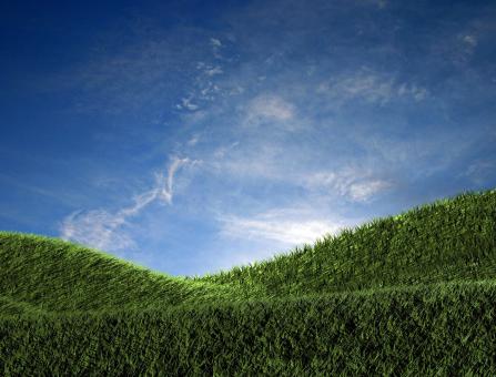 Free Stock Photo of Green field