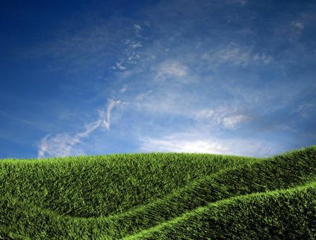 Free Stock Photo of Green field
