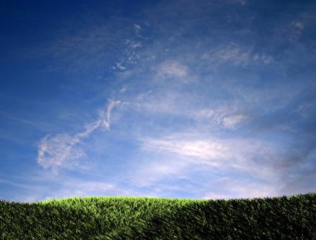 Free Stock Photo of Green field