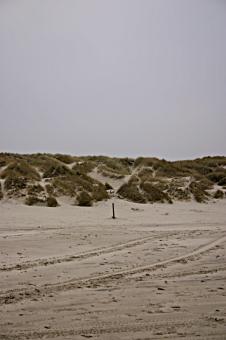 Free Stock Photo of Sand dunes